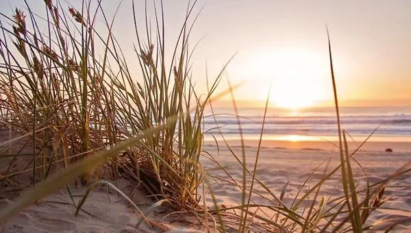 House Hollandse Tulp - 2 Km From The * Noordwijkerhout