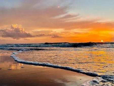 House Hollandse Tulp - 2 Km From The *