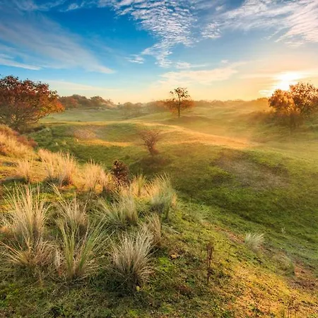 House Hollandse Tulp - 2 Km From The 노르트바이커하우트