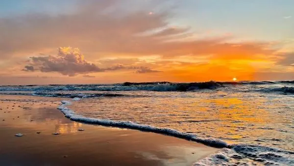 House Hollandse Tulp - 2 Km From The *