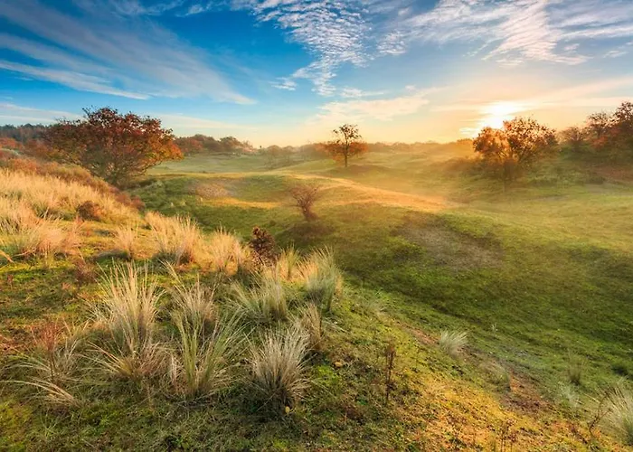 House Hollandse Tulp - 2 Km From The 诺德克豪特